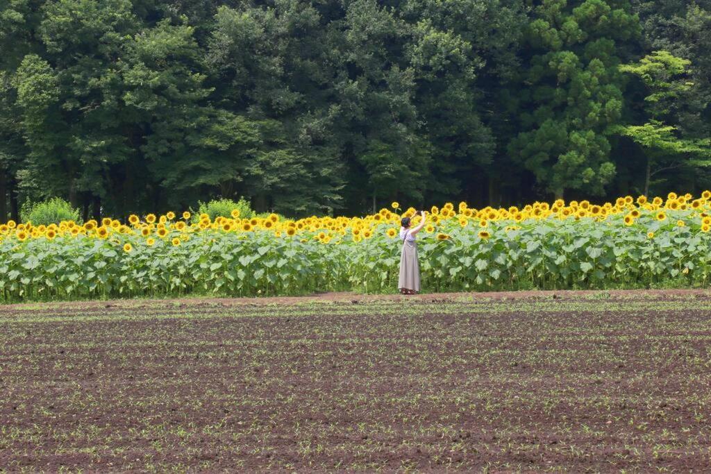 那須コテージ四季d棟/屋根付きバーベキュースペース完備/まるまま一棟貸し Villa Nasu Esterno foto