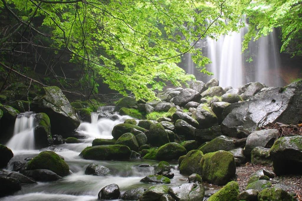 那須コテージ四季d棟/屋根付きバーベキュースペース完備/まるまま一棟貸し Villa Nasu Esterno foto